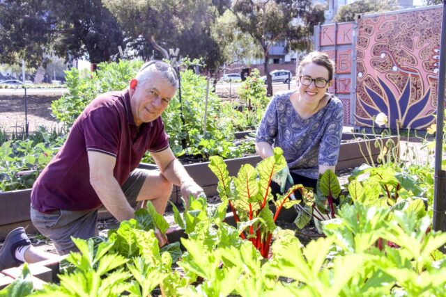 Grass is greener at Park Terrace Community Garden